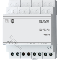 WSSV10