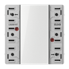 LS52931ST